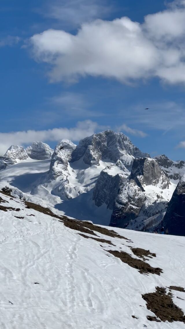 No words needed!😍 🏔️⛷️🏂🇦🇹
.
.
.
#salzkammergut #austria🇦🇹 #austrianalps #dachsteinwest #skiresort #skitouring #bergliebe #bergwelten #mountainlovers #gosau